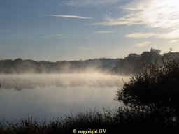 Camping municipal de Cieux — photo 8