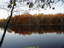 Etangs