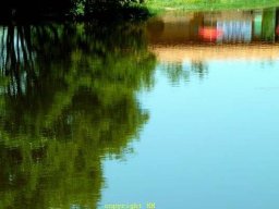 Etangs