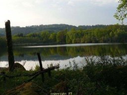 Etangs