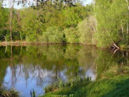 Etangs