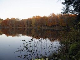 Etangs