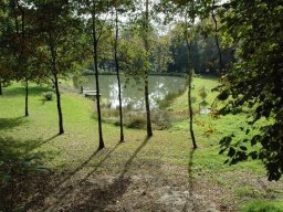 Etangs