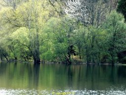 Etangs