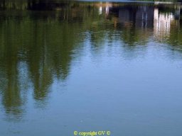 Etangs