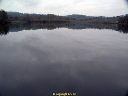 Etangs