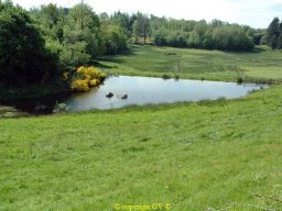 Etangs
