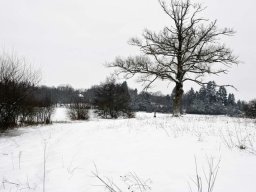 Hiver