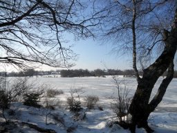 Camping municipal de Cieux — photo 4