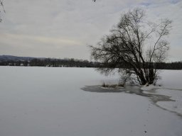 Hiver