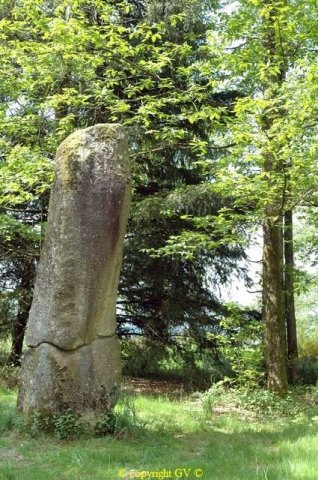 menhir_du_pic12