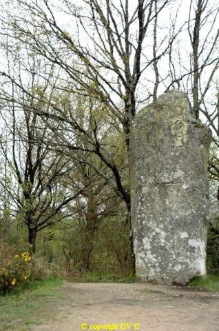 menhir-de-ceinturat8