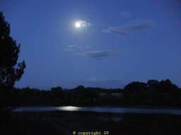 Nuit