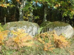 Paysages