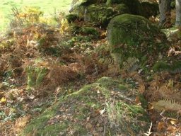 Paysages