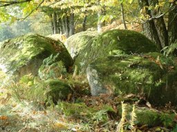 Paysages