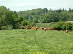 Paysages