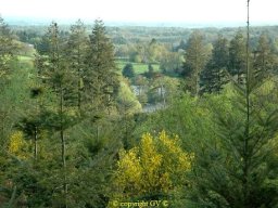 Paysages